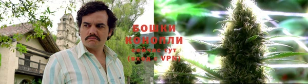 крисы Кулебаки