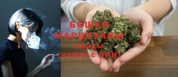 прущие грибы Куйбышев