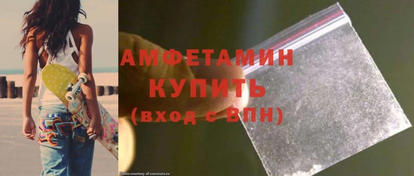 крисы Кулебаки