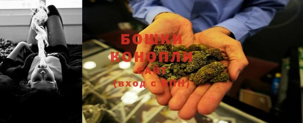 прущие грибы Куйбышев