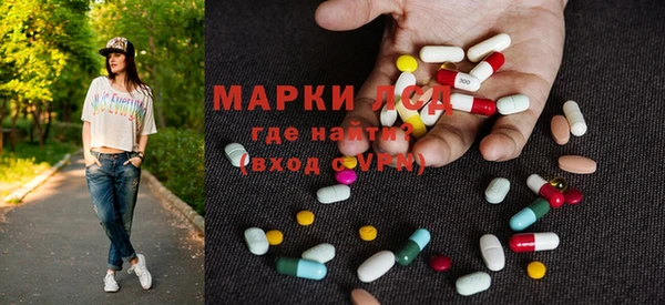 крисы Кулебаки