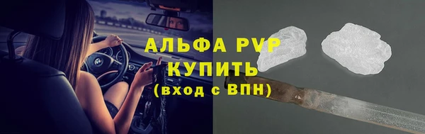 крисы Кулебаки