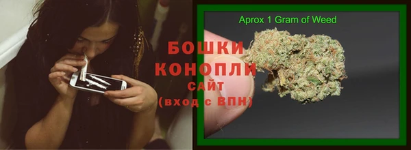 крисы Кулебаки