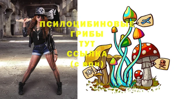 крисы Кулебаки