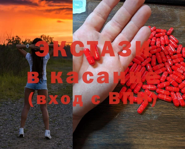 прущие грибы Куйбышев