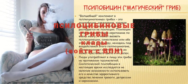 a pvp Щучье