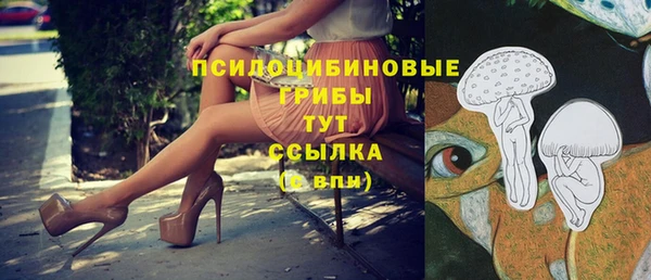 мескалин Великий Новгород