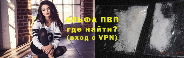 прущие грибы Куйбышев