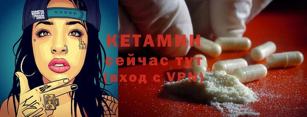 крисы Кулебаки