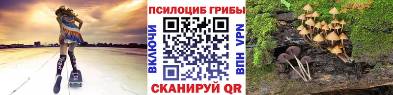 Галлюциногенные грибы Cubensis  Муром 