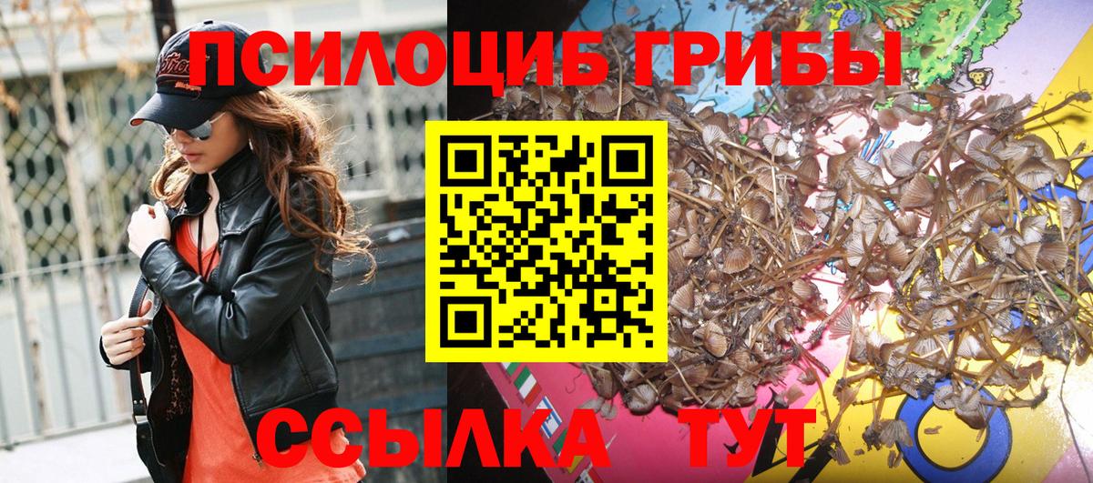 Псилоцибиновые грибы GOLDEN TEACHER  Муром 