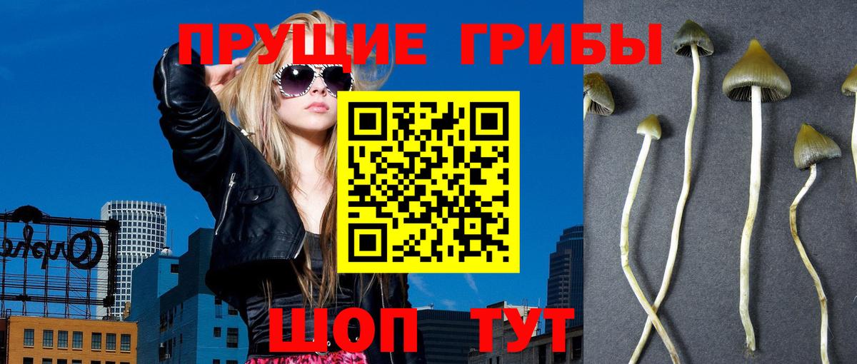 Муром  Галлюциногенные грибы прущие грибы  Вход с VPN 