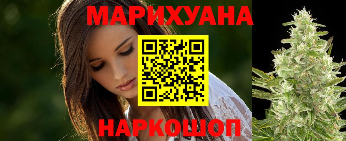 Каннабис сатива Муром